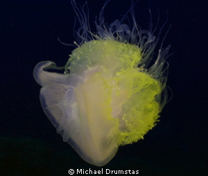 Floating by Michael Drumstas 